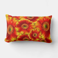 Marguerites de Gerbera jaune et orange