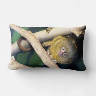 Coussin Rectangle Marmoset Monkey Hi There, Lumbar Cushion