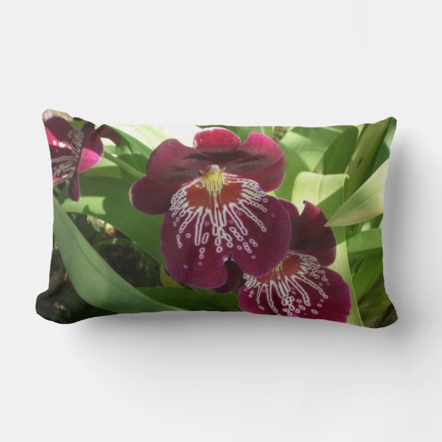 Coussin Rectangle Maroon Orchids II (Recto)