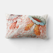 Coussin Rectangle Méduse, Discomedusae par Ernst Haeckel (Verso)