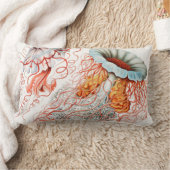 Coussin Rectangle Méduse, Discomedusae par Ernst Haeckel (Couverture)