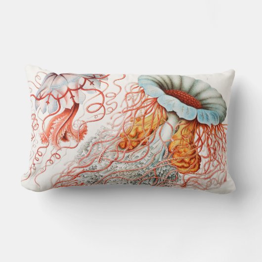 Coussin Rectangle Méduse, Discomedusae par Ernst Haeckel (Recto)