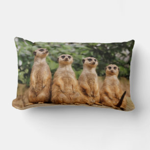 Coussin Rectangle Meerkat-Quartett 001