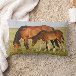 Coussin Rectangle Mère de cheval sauvage et poulain paissant
