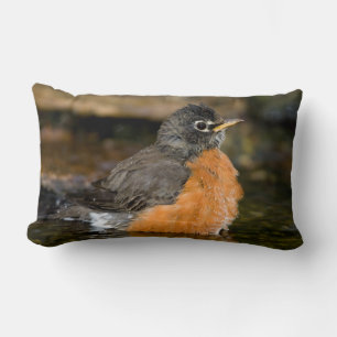 Coussin Rectangle Merle américain se baignant 2