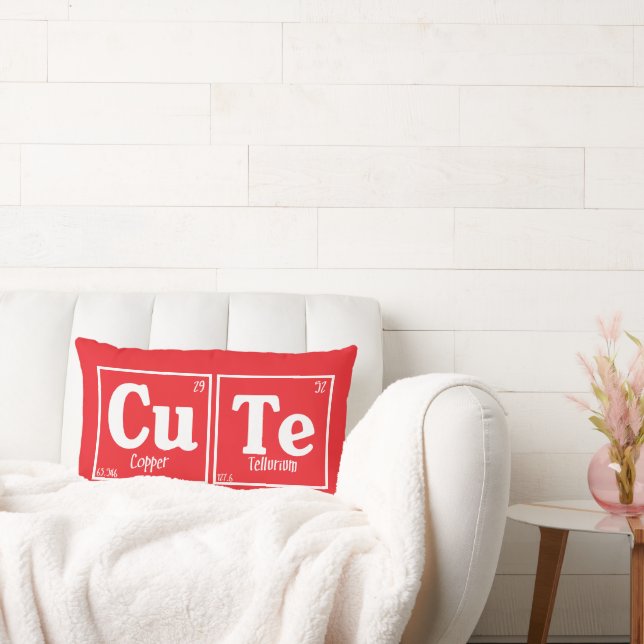 Coussin Rectangle Mignon (Canapé)