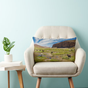 Coussin Rectangle Montagnes   Andes boliviennes
