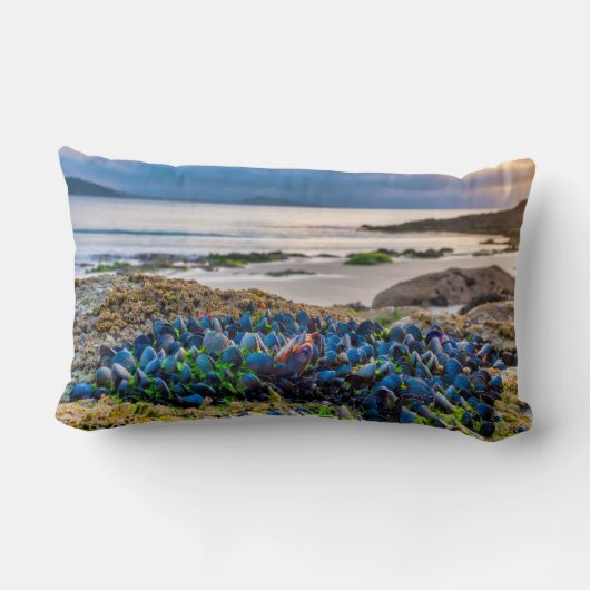 Coussin Rectangle Moules (Verso)