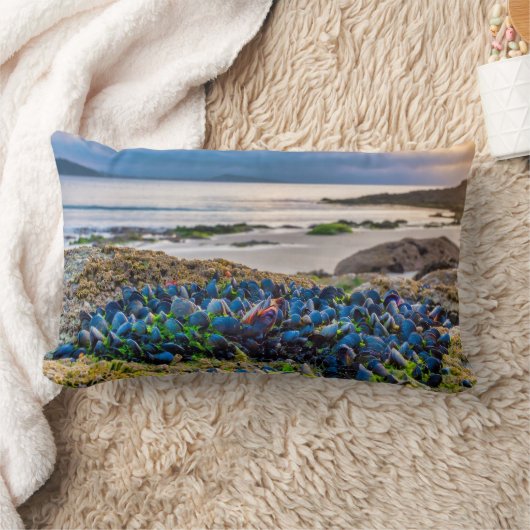 Coussin Rectangle Moules (Couverture)
