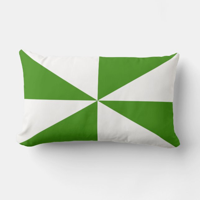 Coussin Rectangle Moulin à vent vert et blanc (Recto)