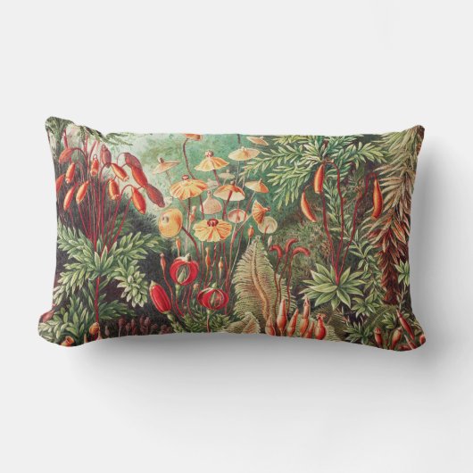 Coussin Rectangle Mousses, Muscinae Laubmoose par Ernst Haeckel (Recto)