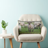 Coussin Rectangle Mouton des Shetland (Chaise)