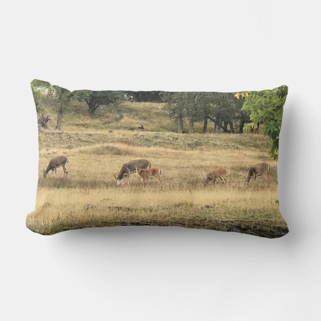 Coussin Rectangle Mule Deer in a Field, Joseph, Oregon (Recto)