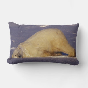 Coussin Rectangle NA, Canada, Manitoba, Churchill, Ours polaire