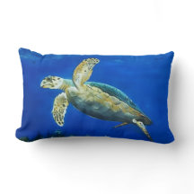 Nageur (tortue)
