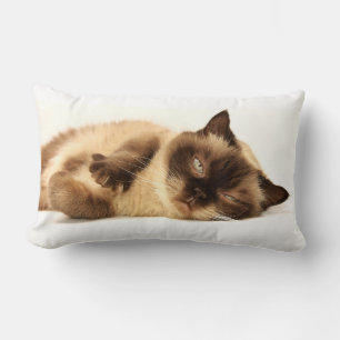Coussin Rectangle Nap de chat