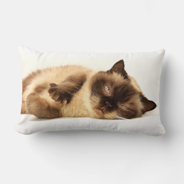 Coussin Rectangle Nap de chat (Recto)