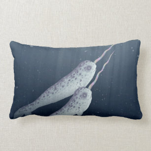 Coussin Rectangle Narwhals mignon nageant ensemble sous l'eau