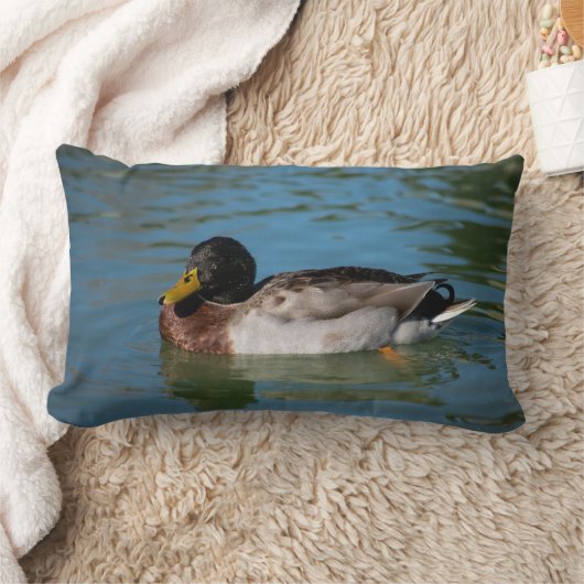 Coussin Rectangle Natation de Mallard (Couverture)
