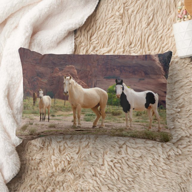 Coussin Rectangle Navajo Horses Run Free sur le Canyon Floor (Couverture)