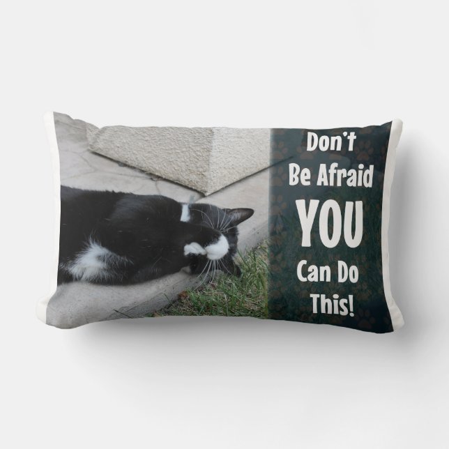 Coussin Rectangle N'ayez pas peur Slogan Motivationnel Chat (Recto)