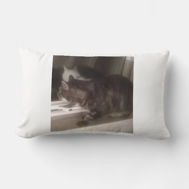 Coussin Rectangle Ne pas vous parler Dave Lumbar Cushion 33 x 53 cm (Recto)