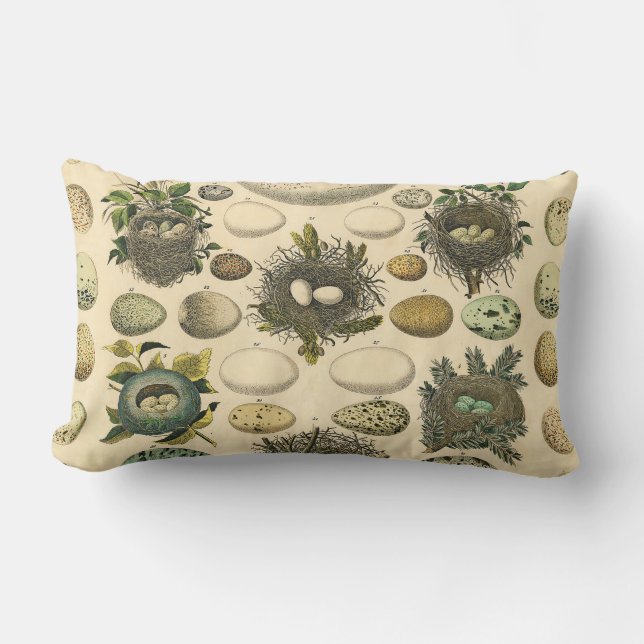 Coussin Rectangle OEuf vintage Nid Art Peinture OEufs (Recto)