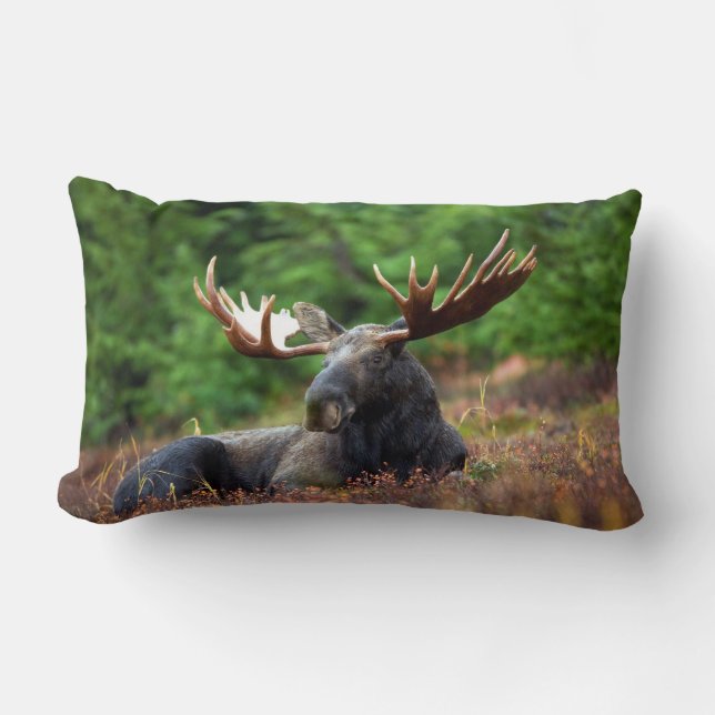 Coussin Rectangle Oie (Recto)