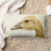 Coussin Rectangle Oie canadienne (Gosling) (Couverture)
