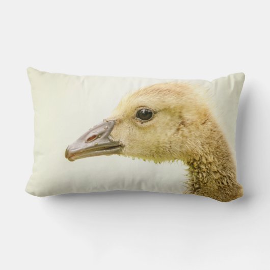 Coussin Rectangle Oie canadienne (Gosling) (Verso)
