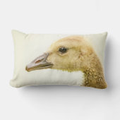 Coussin Rectangle Oie canadienne (Gosling) (Recto)