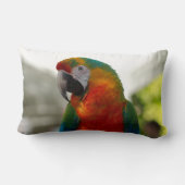 Coussin Rectangle Oiseau de perroquet de Macaw Oiseau décoratif de p (Verso)