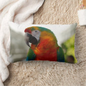 Coussin Rectangle Oiseau de perroquet de Macaw Oiseau décoratif de p (Couverture)