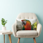 Coussin Rectangle Oiseau de perroquet de Macaw Oiseau décoratif de p (Chaise)