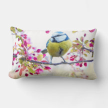 Oiseau mignon