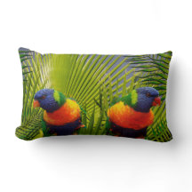 Oiseaux tropicaux