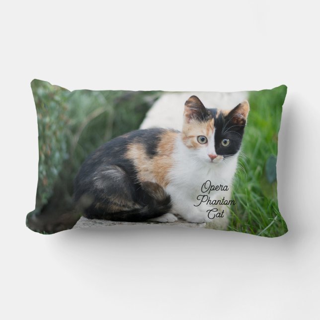 Coussin Rectangle Opera Phantom Chat (Recto)