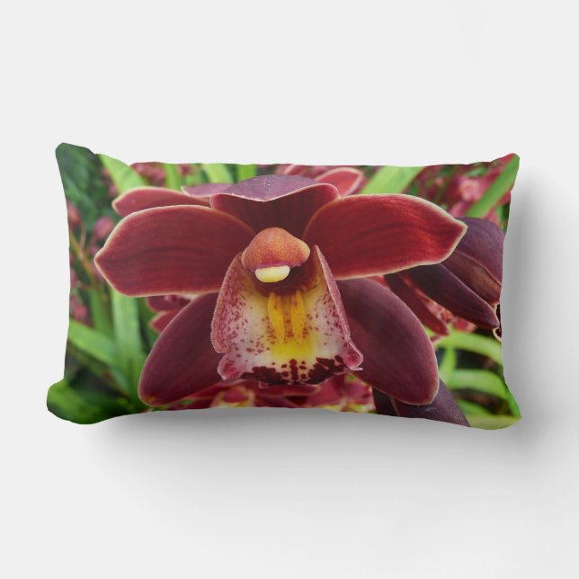 Coussin Rectangle Orchidées de Maroon I Beau Floral Rouge (Recto)