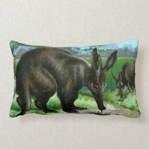 Coussin Rectangle Oryctérope mangeant des fourmis
