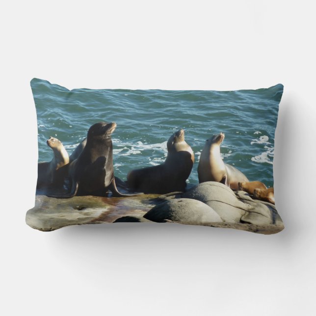 Coussin Rectangle Otaries de San Diego (Recto)