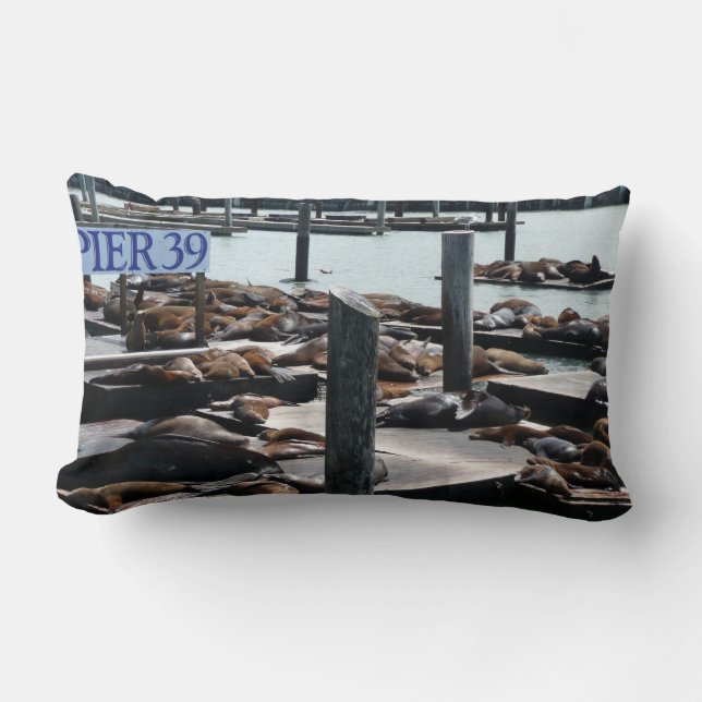 Coussin Rectangle Otaries du quai 39 (Recto)
