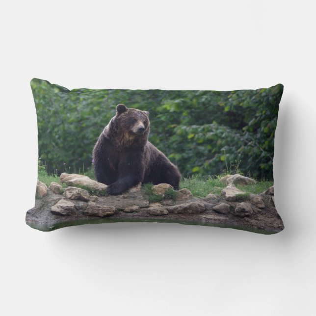 Coussin Rectangle Ours Brown (Recto)