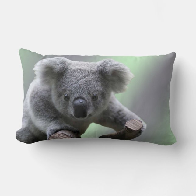 Coussin Rectangle Ours de koala (Recto)