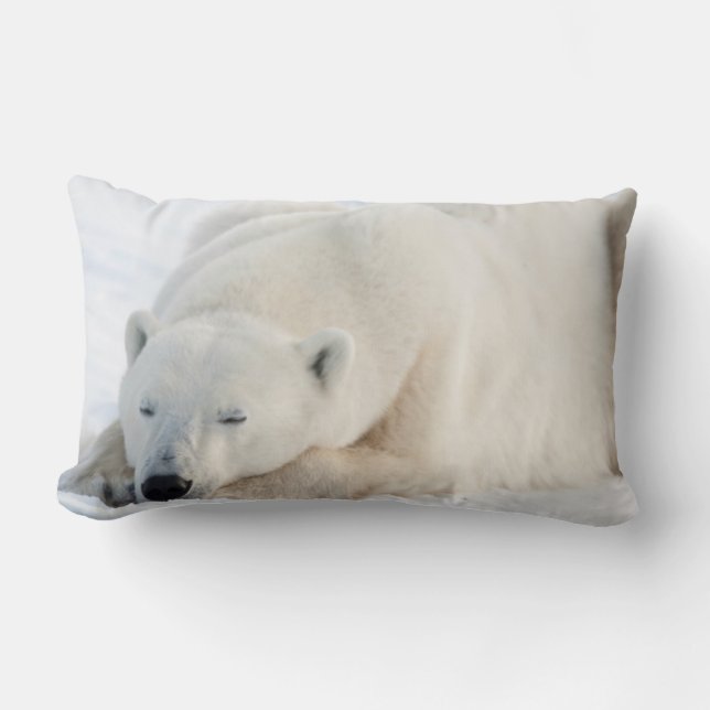 Coussin Rectangle Ours polaire en hiver (Recto)