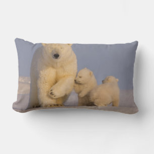 Coussin Rectangle ours polaire, Ursus maritimus, truie avec nouveau-