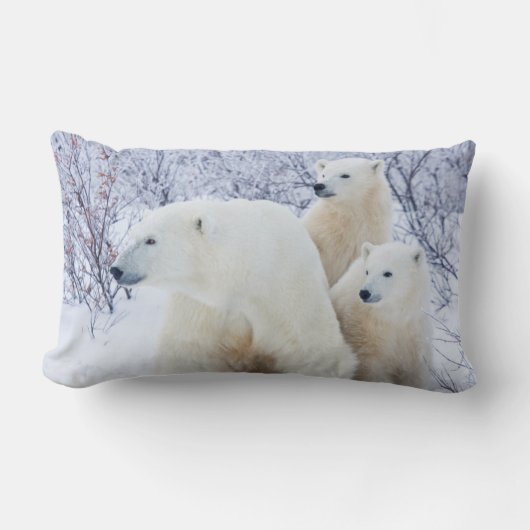 Coussin Rectangle Ours polaires et deux oursons (Recto)