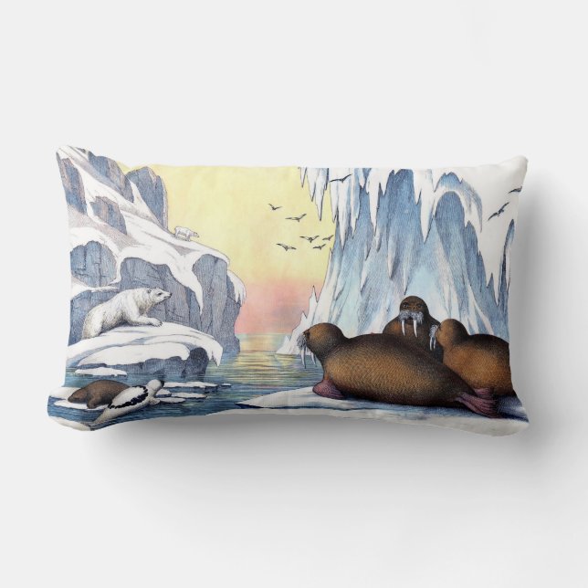 Coussin Rectangle Ours Polaires, Walrus Et Phoques (Recto)
