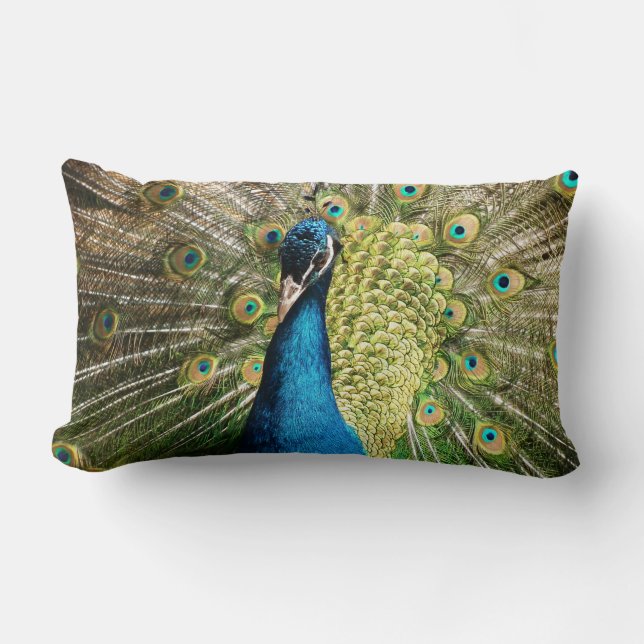 Coussin Rectangle Pacock (Recto)