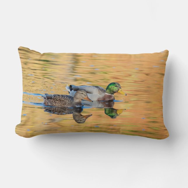 Coussin Rectangle Paire de Mallards (Recto)