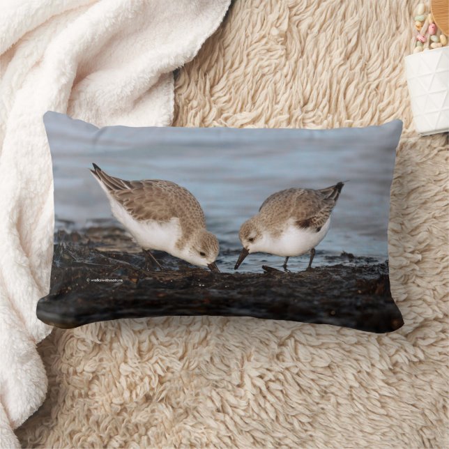 Coussin Rectangle Paire mignonne de Sanderlings Sandpipers parts (Couverture)